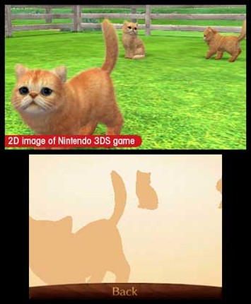 Nintendogs + Cats: Toy Poodle & New Friends Image