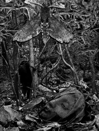 Psilozone screenshot