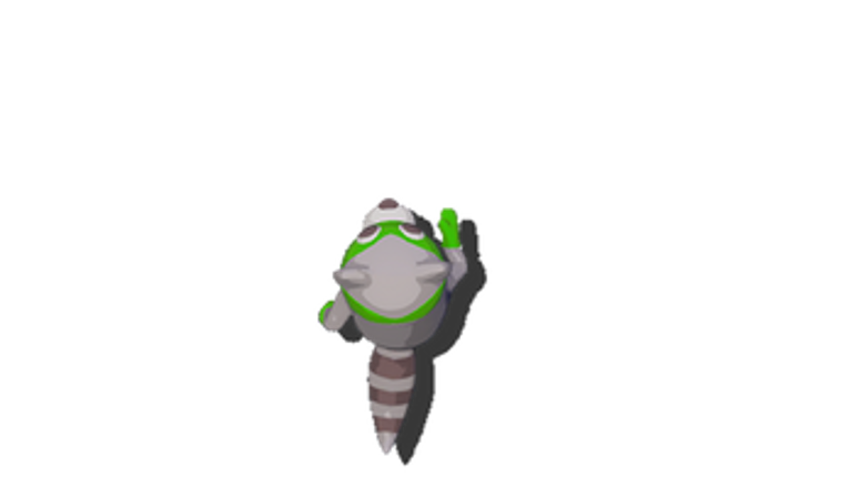 RaccNRun Image