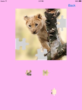 Safari Animals Jigsaw Puzzles screenshot