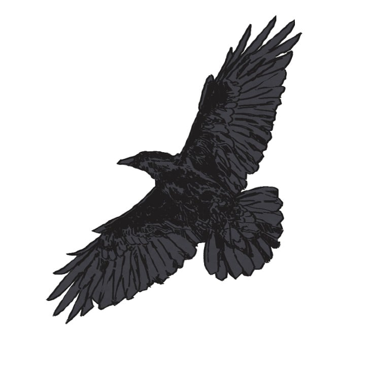 Games like TERMINAL VELOCITY