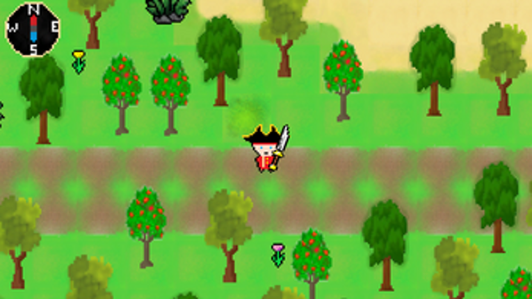 The Pirate' Diary Image