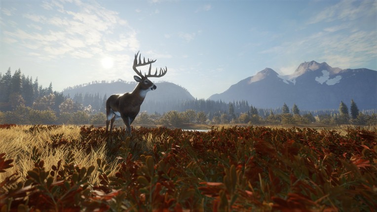 theHunter: Call of the Wild Image