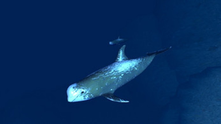 VR Scuba Diving - Deep Sea Oceanic Explorer Image
