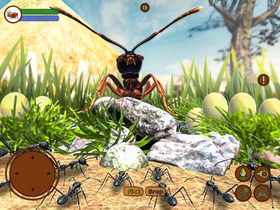 Ant Insect Life Survival War Image
