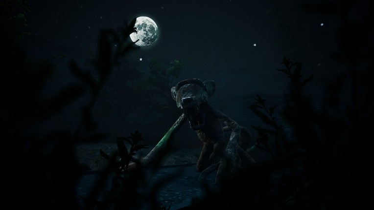 Camp Hollow Image