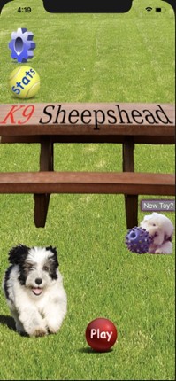 K9 Sheepshead: Schafkopf Image