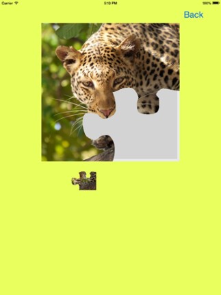 Safari Animals Jigsaw Puzzles screenshot