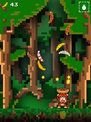 Bananas!!! Image
