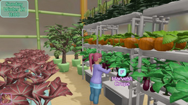 Cave Oasis at Shylake screenshot