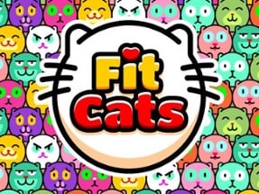 Fit Cats Image