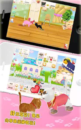 晴天小貓 screenshot