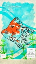 Goldfish Aquarium - Japanese Style - Image