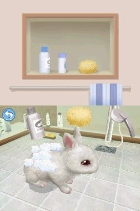 Petz Bunnyz Bunch Image