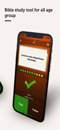 True or False? - Bible Quiz Image