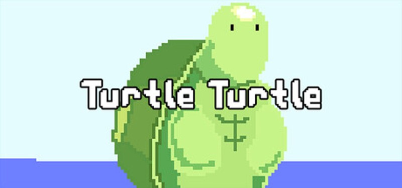 Turtle Turtle Image