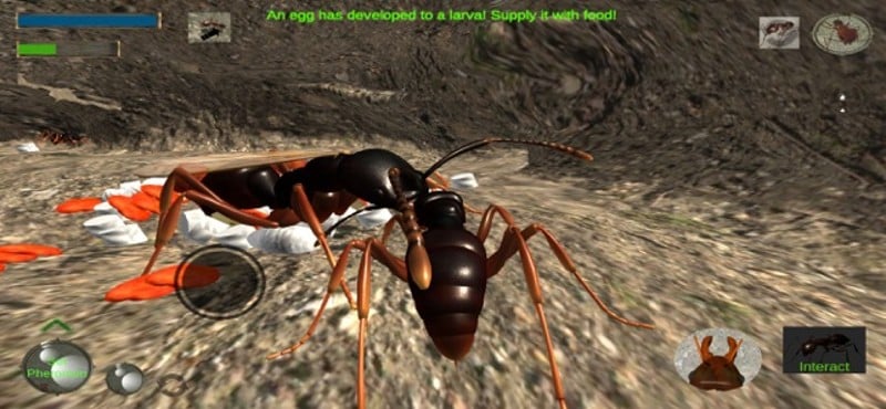 Ant Simulation Full screenshot