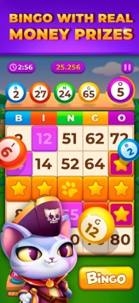 Bingo Money: Real Cash Prizes screenshot