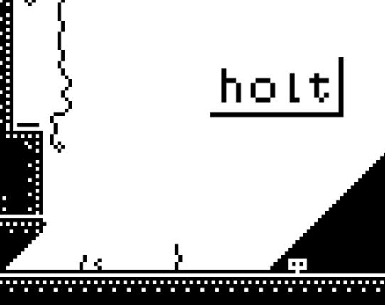 holt Game Cover