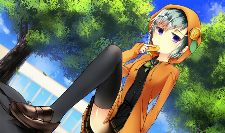 Kekkon Shugi Kokka screenshot