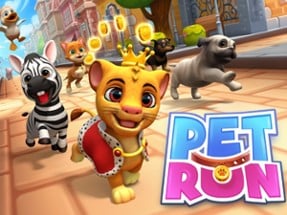 Pet Run - Puppy Dog Run Game Image