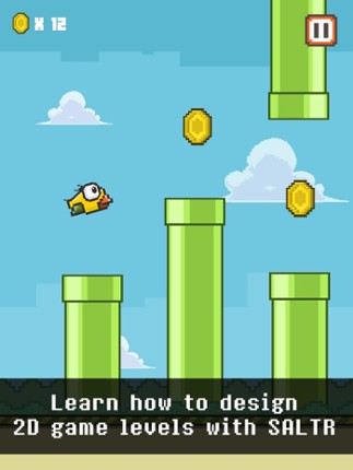 SALTR Birdie screenshot