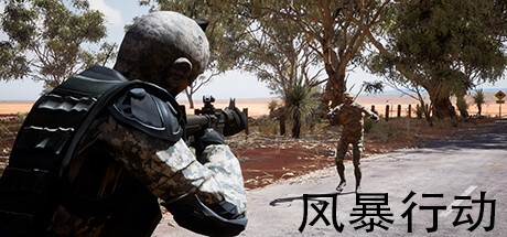 Games like 风暴行动