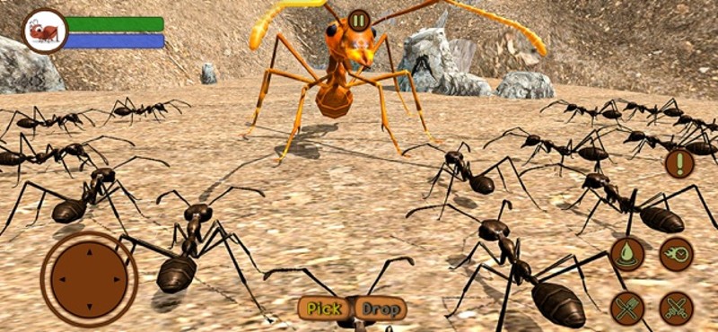 Ant Insect Life Survival War Image