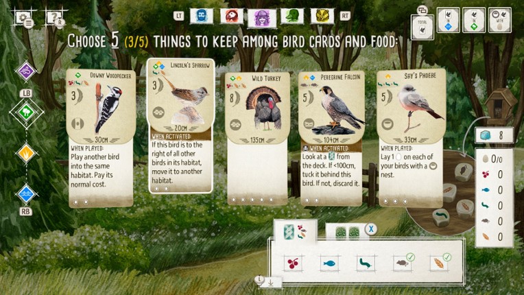 Birds and Cats Special Edition Image