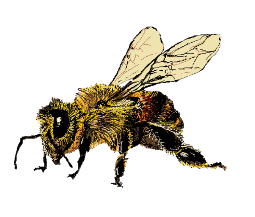 Games like Dr. Bee's Finger Enlargement Clinic
