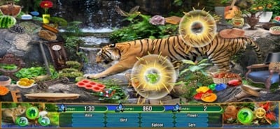 Hidden Objects Animal Kingdom Image