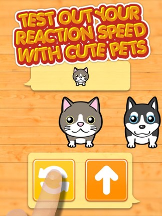 Neko &amp; Doggie Dojo - My Dear Mini Smart Pets Choice Games screenshot