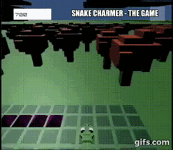 Snake Charmer - The game Image