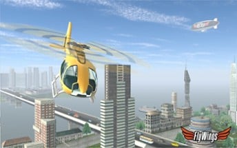 Helicopter Simulator Image