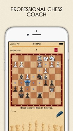 Mate in 3? OK! screenshot