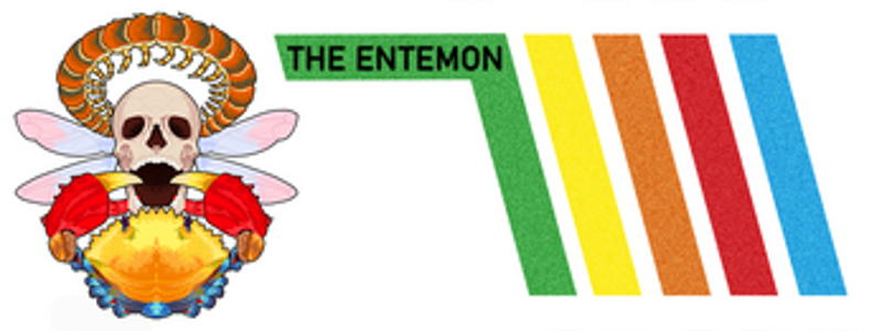 Visions Unveiled screenshot