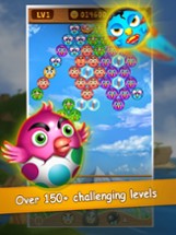 Bubble Bird Shooter: Bird Kingdom Image