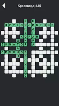 Кроссворды без интернета screenshot