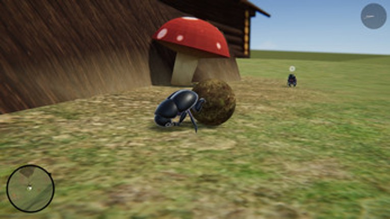 BUG: Beetles Underground Image