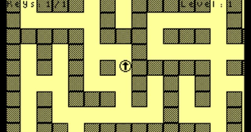 Horror Maze 2D Image
