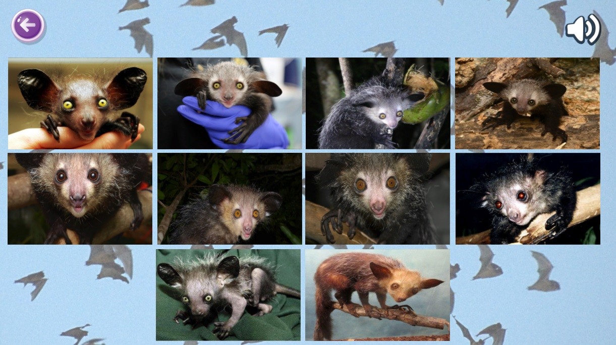 Games like Mouse Puzzles