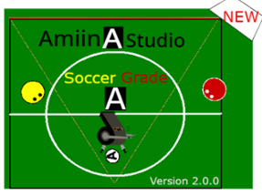 Soccer Grade A Image