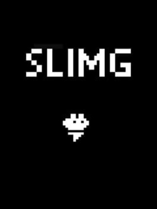 Slimg Image