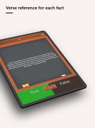 True or False? - Bible Quiz screenshot