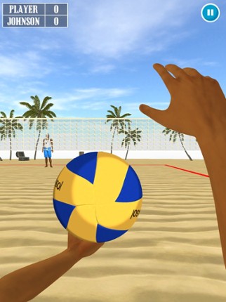 V-Ball Image