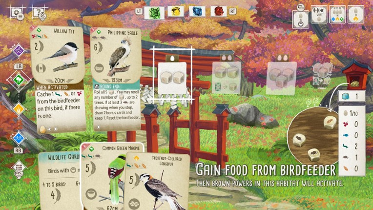 Birds and Cats Special Edition Image