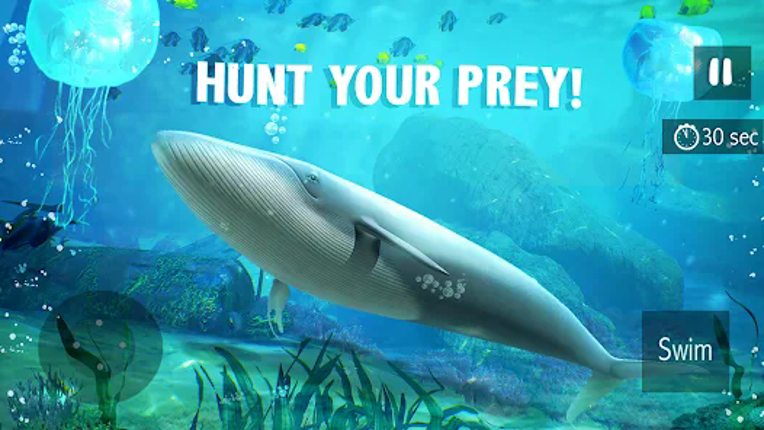 Blue Whale Simulator - Game Image