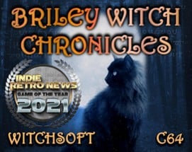 Briley Witch Chronicles (C64) Image