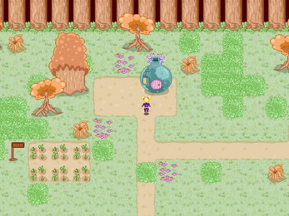 Magical Domain screenshot