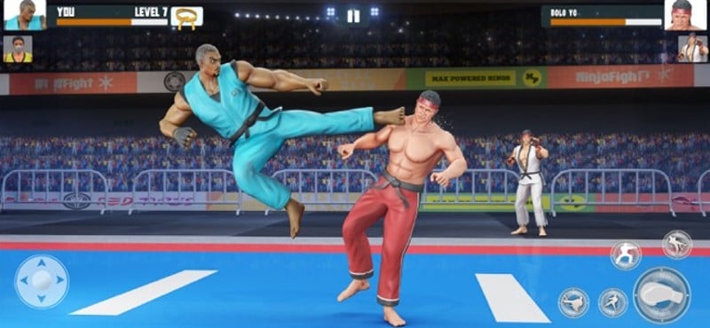 Kung Fu Fight: Karate Fighter Image